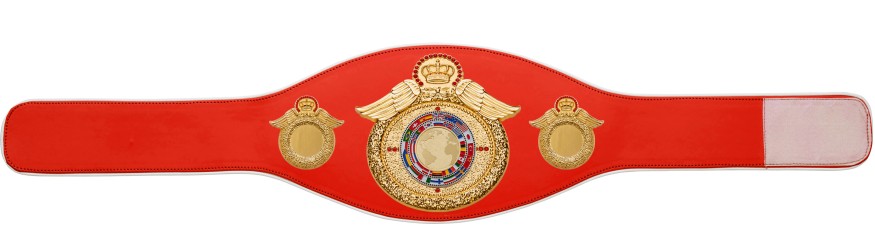 CHAMPIONSHIP BELT PROWING/G/FLAGG - AVAILABLE IN 6+ COLOURS